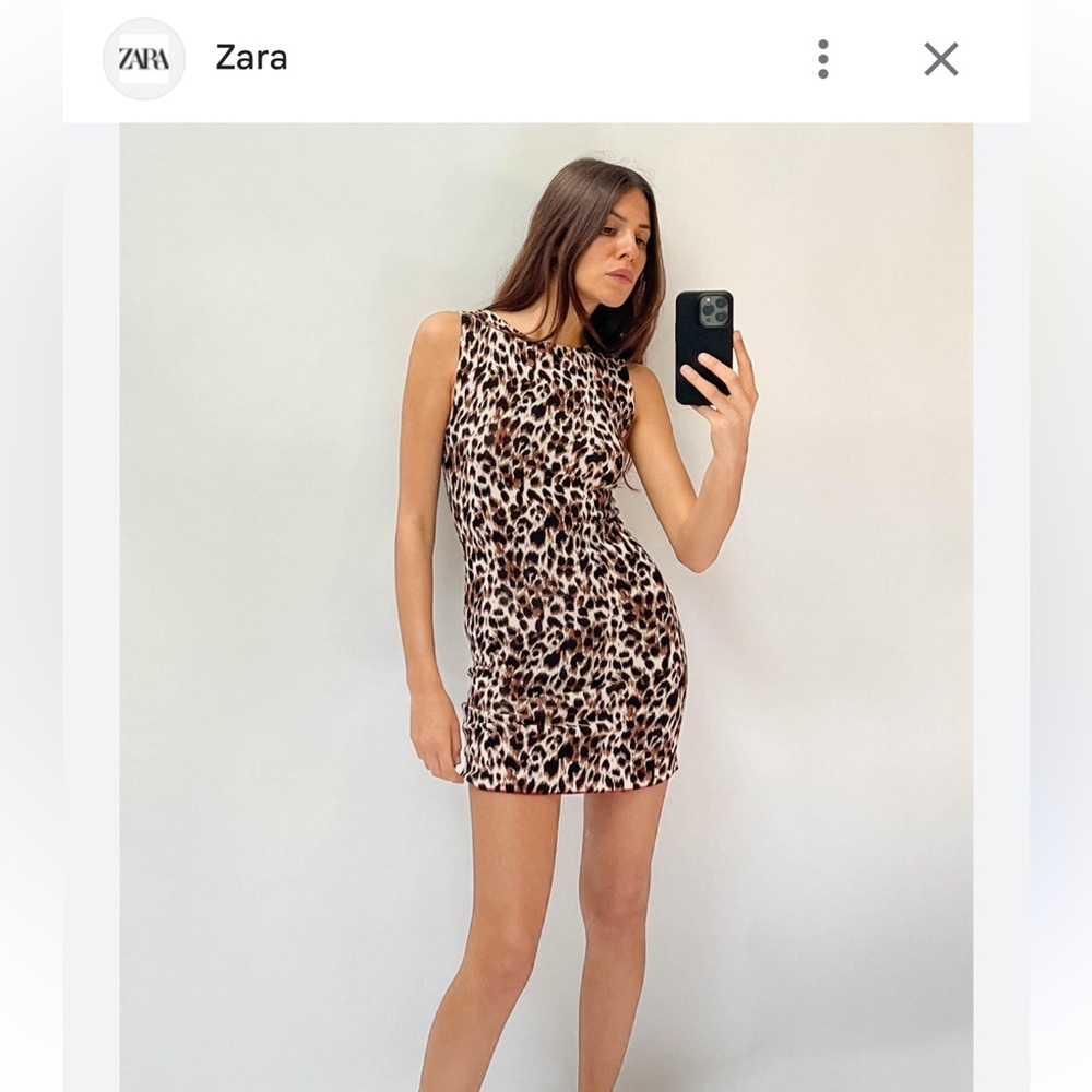 NWT Zara Cheetah Print Dress